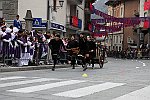 Gara delle Bighe 2011-7785